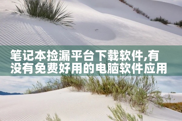 笔记本捡漏平台下载软件