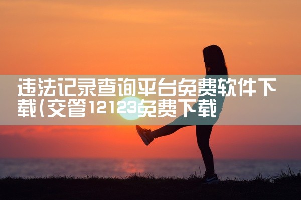 违法记录查询平台免费软件下载
