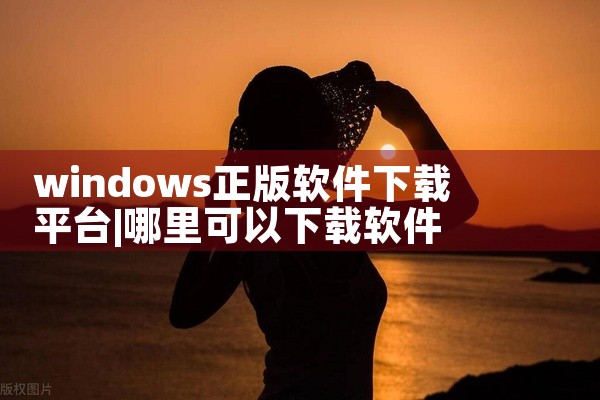 windows正版软件下载平台