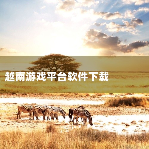 一、下载方法访问越南服官网 官网地址：http://cf.vtc.vn/ 该网站为越南CrossFire（CF）的官方运营平台，提供游戏客户端下载、活动公告及账号管理服务。选择下载版本 进入官网后，点|