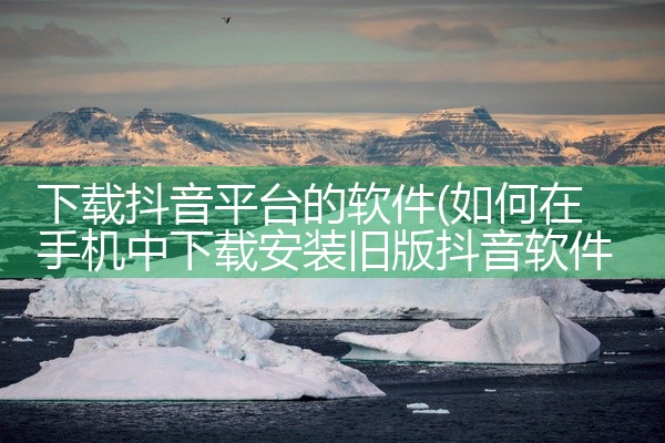 下载抖音平台的软件