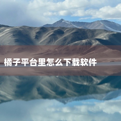 企业回中犇科技为正规实体企业，提供从 UI 设计、程序开发到项目上线一站式软件开发服务。20年行业经验，500+技术团队，支持按需定制、源码交付。透明标准化报价，功能清单式报价，无隐形增费。自有团队全,